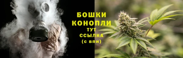spice Надым