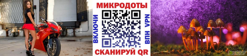 Галлюциногенные грибы Magic Shrooms  закладка  Заполярный 